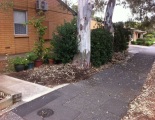 Retaining Wall - Before